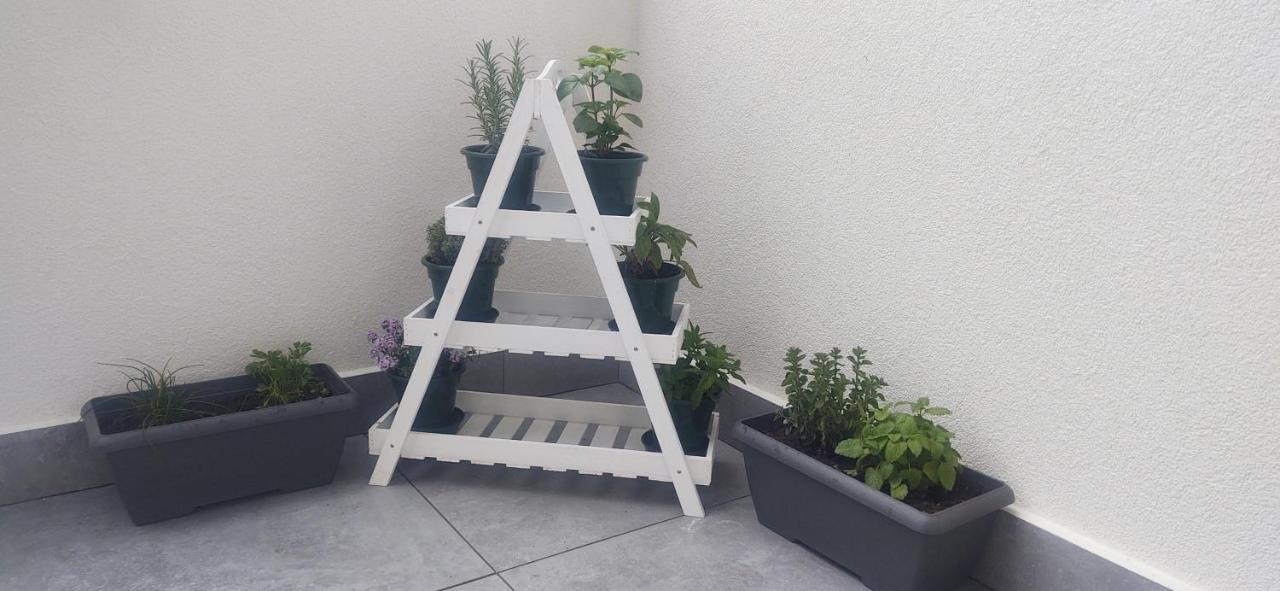 דירות לביקו טרמה Le Quattro Stagioni מראה חיצוני תמונה